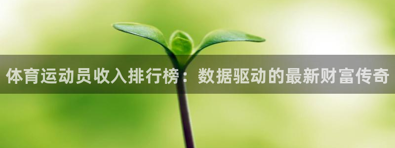一竞技官网下载:体育运动员收入排行榜:数据驱动的最新财富传奇