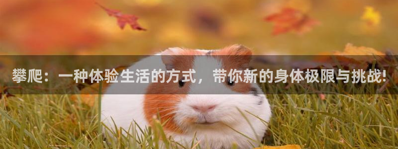 一竞技官网下载招商电话号码:攀爬:一种体验生活的方式,带你新