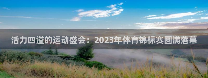 一竞技官网下载平台APP:活力四溢的运动盛会:2023年体育