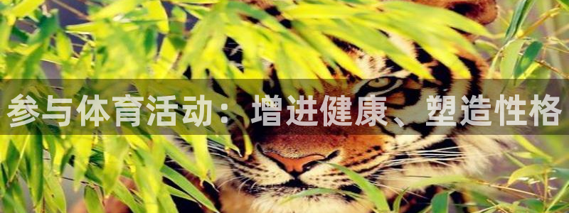 一竞技官网下载软件:参与体育活动:增进健康、塑造性格