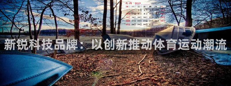 一竞技官网下载平台注册流程视频:新锐科技品牌:以创新推动体育