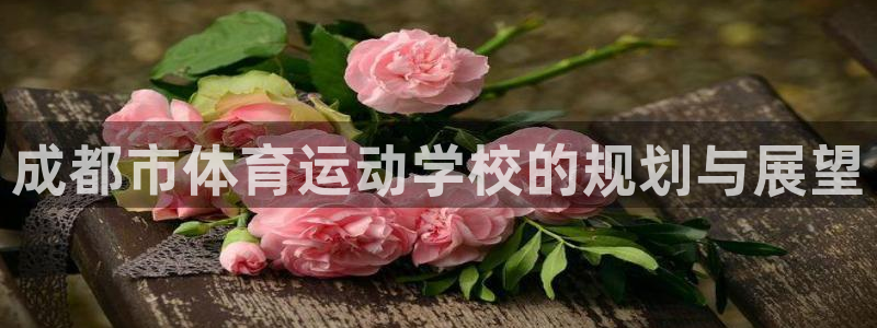 一竞技官方正版app集团E.ON:成都市体育运动学校的规划与